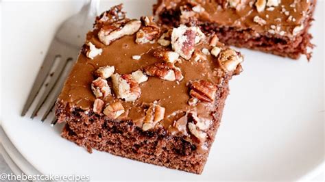 texas-sheet-cake-recipe-easy-chocolate-brownie-cake image