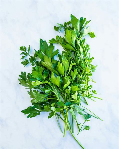 10-parsley-recipes-to-try image