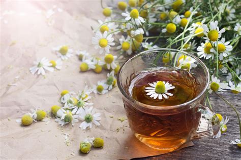 chamomile-for-stress-5-simple-recipes-learningherbs image