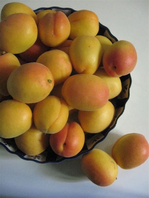 recipe-apricot-chutney-green-prophet image
