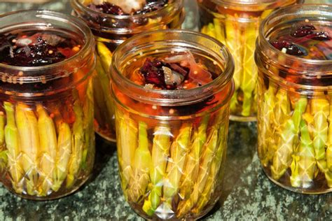 pickled-daylily-bud-recipe-backyard-forager image