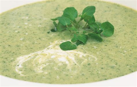 watercress-and-buttermilk-vichyssoise-recipes-delia image