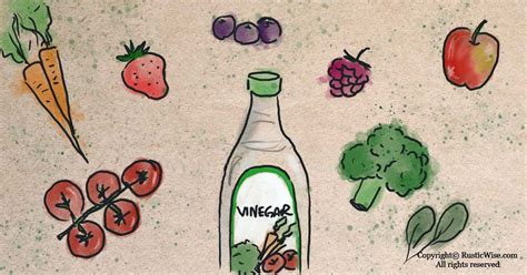 how-to-wash-fruits-and-vegetables-with-vinegar-and image