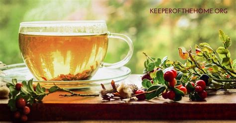 3-methods-to-make-herbal-iced-tea-and-a-few-recipes-i image