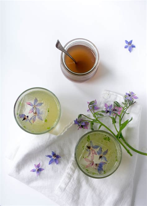 the-garden-gimlet-a-basil-and-borage-cocktail image