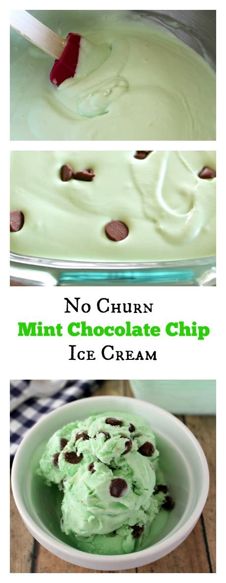 no-churn-mint-chocolate-chip-ice-cream-the image