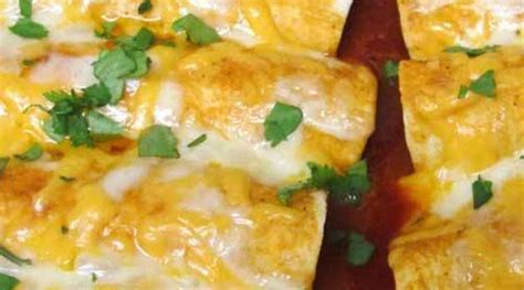 cheesey-chicken-enchiladas-recipe-flavorite image