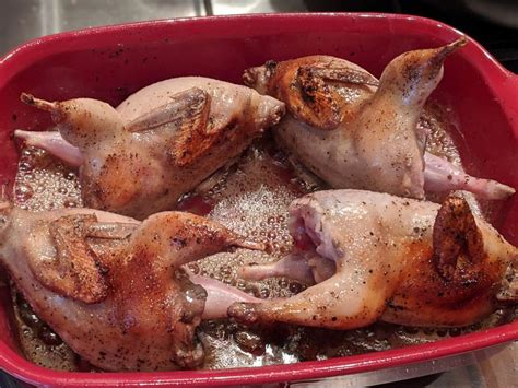 braised-quail-with-mushrooms-dinner-recipes-to-impress image