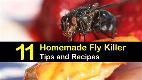 homemade-fly-killer-recipes-11-natural-tips-for-killing image