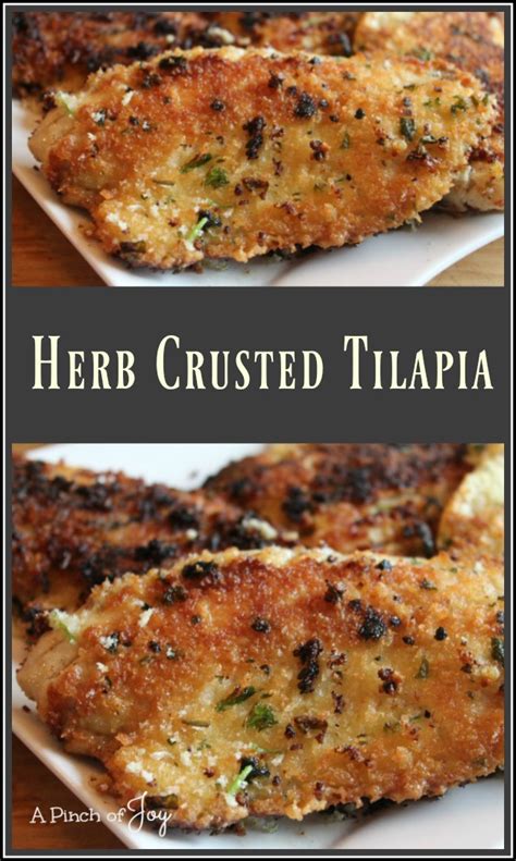 herb-crusted-tilapia-a-pinch-of-joy image