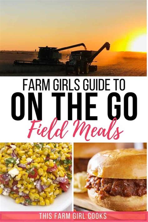 easy-meals-on-the-go-this-farm-girl-cooks image