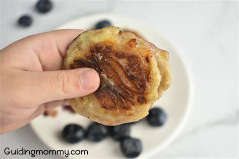 blueberry-banana-fritters-a-delicious-toddler-snack image