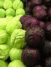 cabbage-wikipedia image