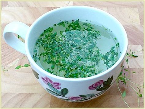 thyme-tea-recipe-use-fresh-or-dried-thyme-for-a image