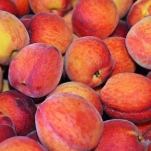 how-to-freeze-peaches-with-fruit-fresh-creative image