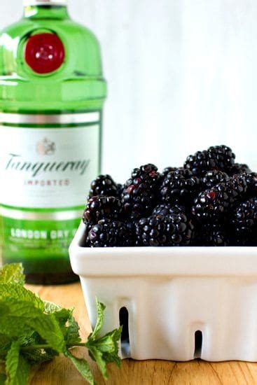 blackberry-gin-fizz-float-brown-eyed-baker image
