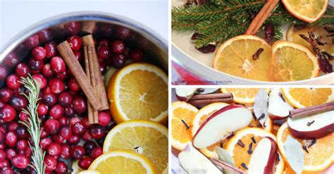 12-fall-and-winter-simmering-pot-recipes-to-make image