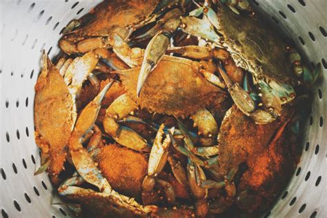 how-to-steam-blue-crabs-the-ultimate-guide-by-girl image