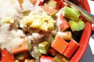 rhubarb-ginger-crisp-food-gypsy image