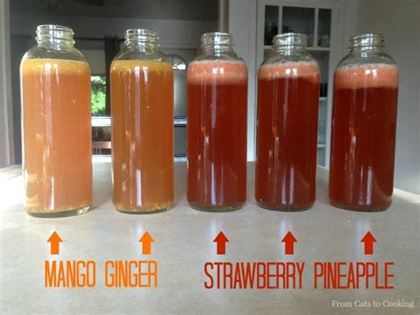 how-to-flavor-homemade-kombucha-with-fruit image
