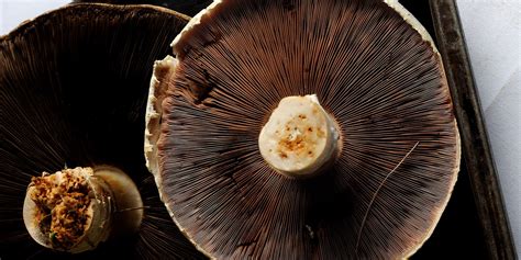 mushroom-recipes-great-italian-chefs image