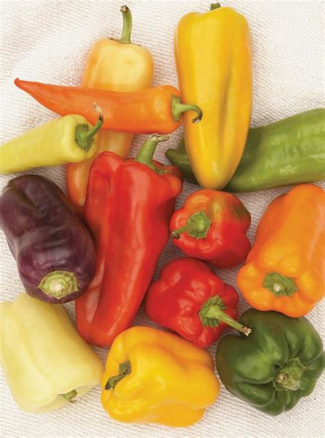barley-stuffed-bell-peppers-ricardo image