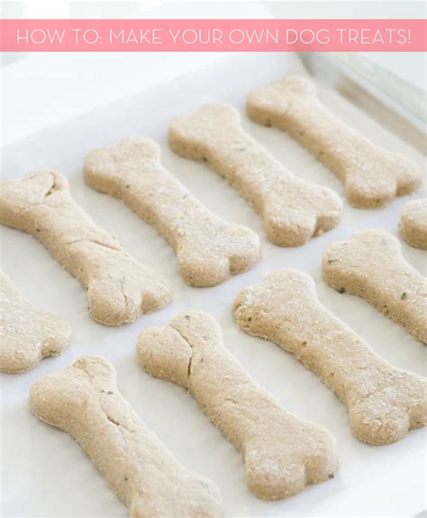 how-to-make-your-own-diy-dog-treats-curbly image