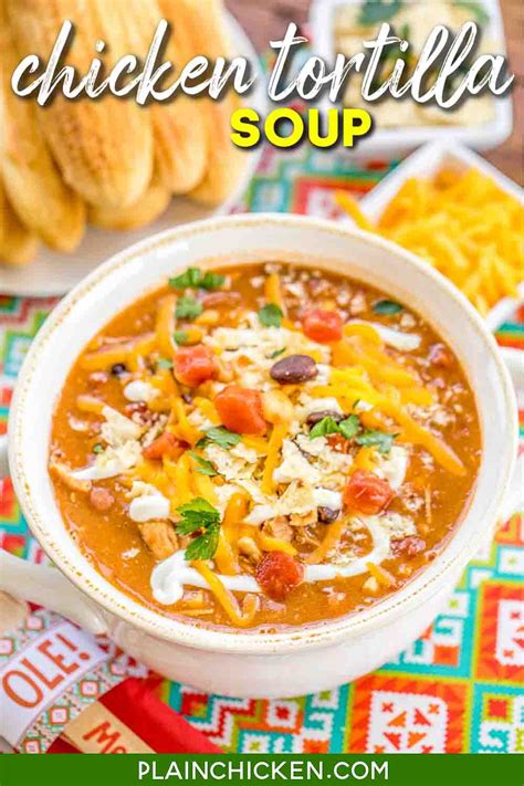 chicken-tortilla-soup-made-with-refried-beans-plain image