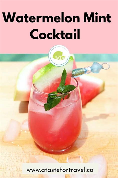 sparkling-watermelon-mint-vodka-cocktail-a-taste-for image