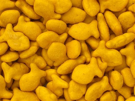 goldfish-cracker-wikipedia image