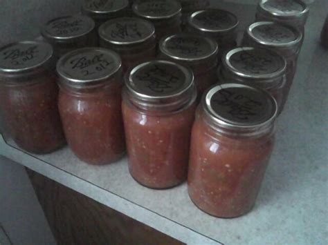 thick-n-chunky-homemade-salsa-amish-365 image
