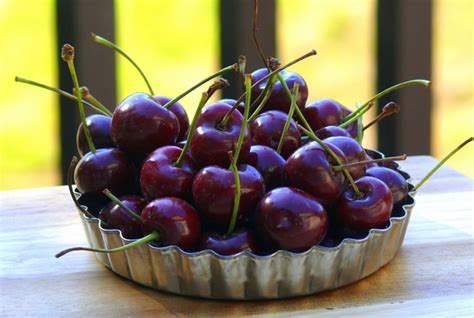 25-fresh-cherry-recipes-you-must-make-today image