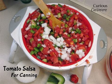 basic-tomato-salsa-for-canning-curious-cuisiniere image