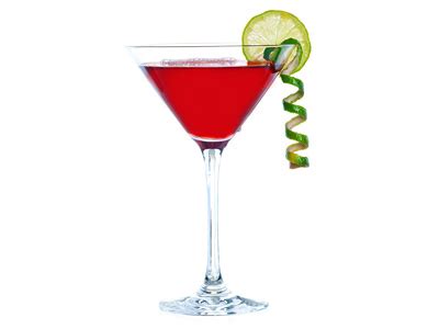 cranberry-pomegranate-martini-fruity-cocktail-for image
