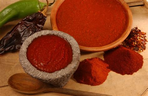mamas-basic-red-chile-sauce-from-red-chile-puree image