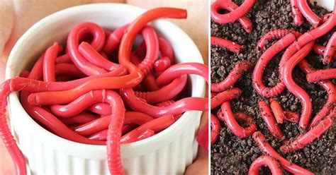 jelly-worms-with-oreo-dirt-cakescottage image