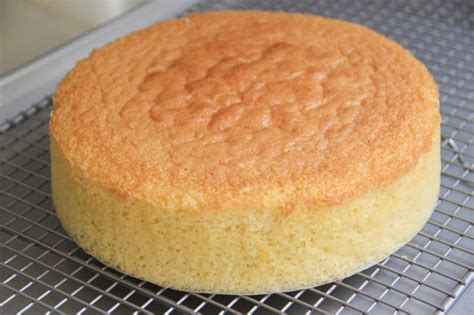 sponge-cake-recipe-japanese-cooking-101 image