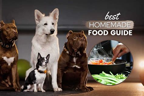 10-best-vet-approved-homemade-dog-food image
