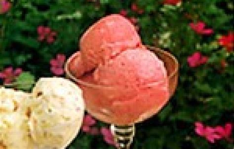 blackcurrant-ice-cream-recipes-delia-online image