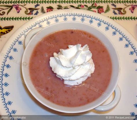 cold-plum-soup-recipe-recipeland image