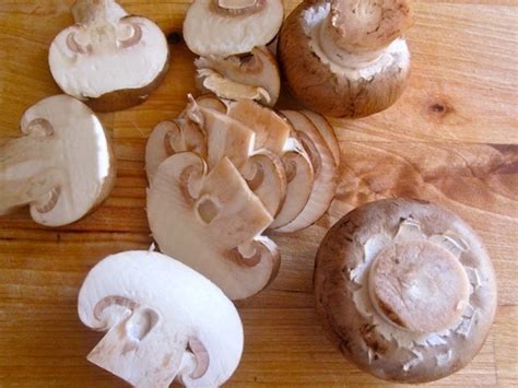 pasta-with-mushrooms-and-gorgonzola-cheese-sauce image
