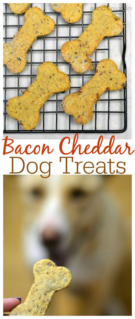 bacon-cheddar-dog-treats-three-little-ferns-family image