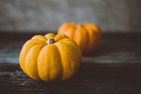 pumpkin-mousse-a-healthy-gluten-free-paleo image