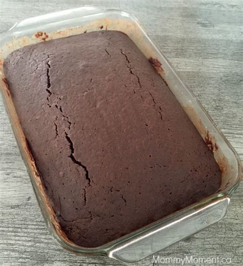 easy-one-pan-chocolate-crazy-cake-mommy image
