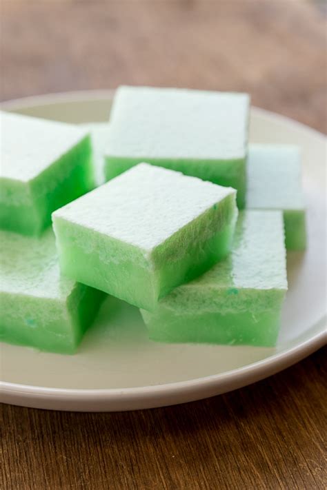 agar-agar-jelly-with-coconut-and-pandan-wandercooks image