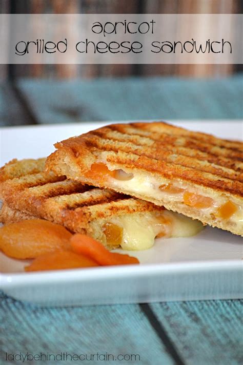 apricot-grilled-cheese-sandwich-lady-behind-the image