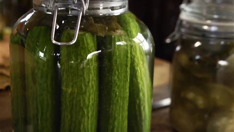 fermented-garlic-dill-pickles-p-allen-smith image