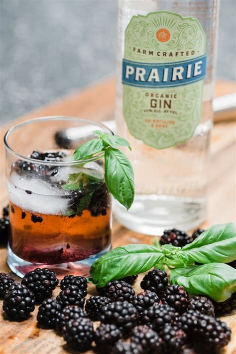 blackberry-ginger-gin-cocktail-easy-cocktail image