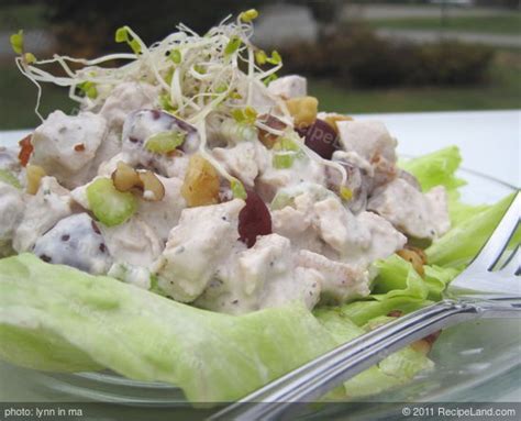 chicken-salad-contessa-recipe-recipeland image