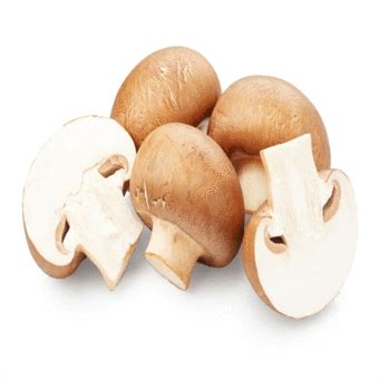 chilli-mushroom-recipe-how-to-make-chilli-mushroom image